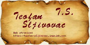 Teofan Šljivovac vizit kartica